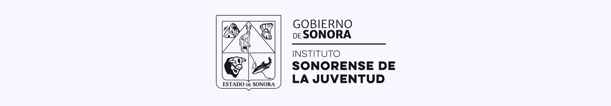 Instituto Sonorense De La Juventud Talleres